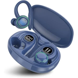 Real-Time Translation Earbuds